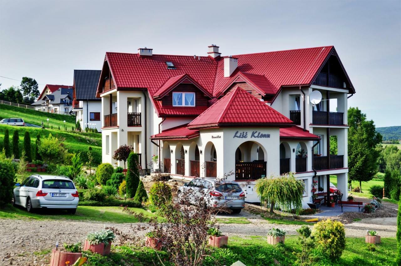 Lisc Klonu Apartment Polańczyk Екстериор снимка